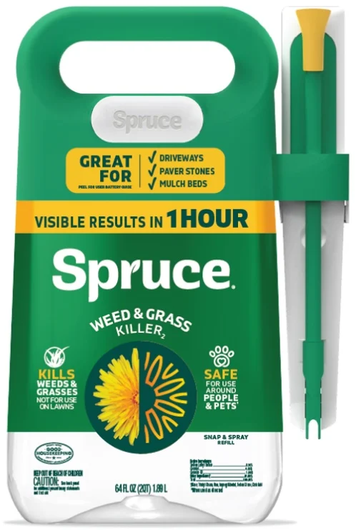 2025 Spruce Power Wand packaging with a dandelion illustration.
